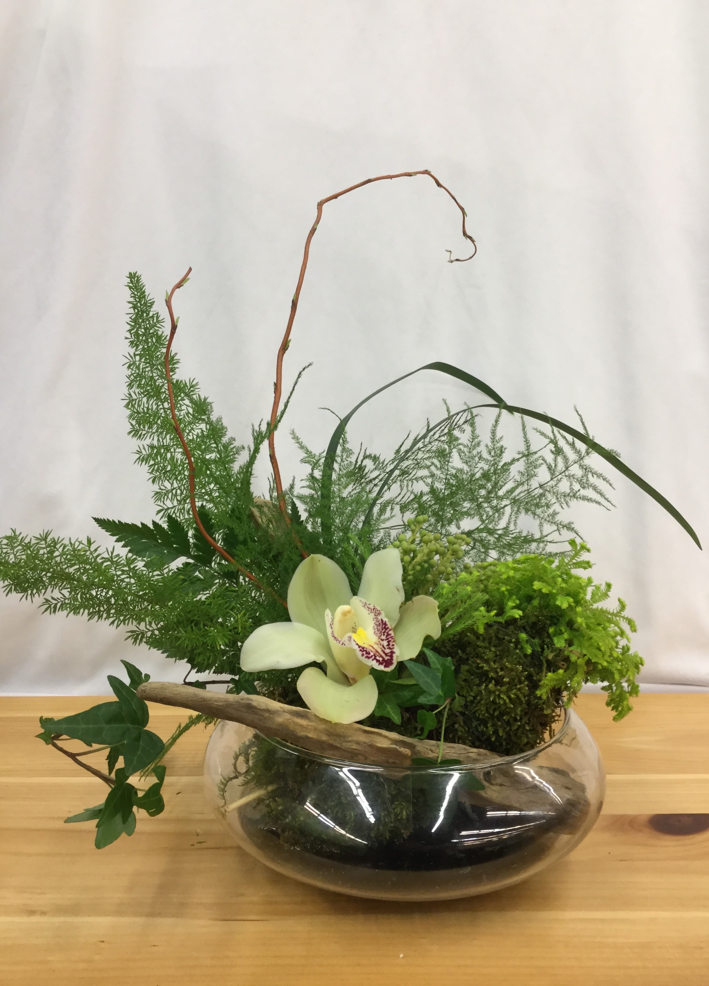 Kokedama Garden Design Class